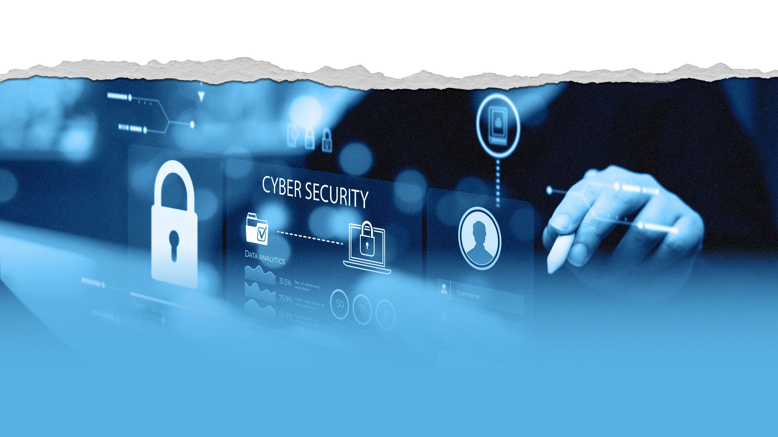 Computer screen displaying cybersecurity graphics
